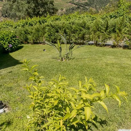 Quinta Dos Monteiros - 3 Quartos Com Piscina * ريزندي