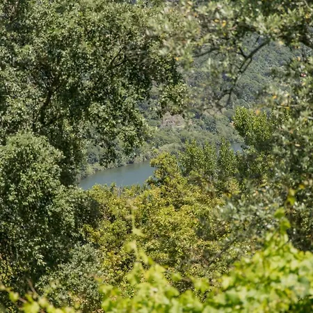 Quinta Dos Monteiros - 3 Quartos Com Piscina *