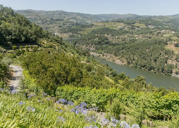 Quinta Dos Monteiros - 3 Quartos Com Piscina Сasa de vacaciones *