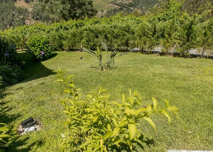 Quinta Dos Monteiros - 3 Quartos Com Piscina * 雷森迪