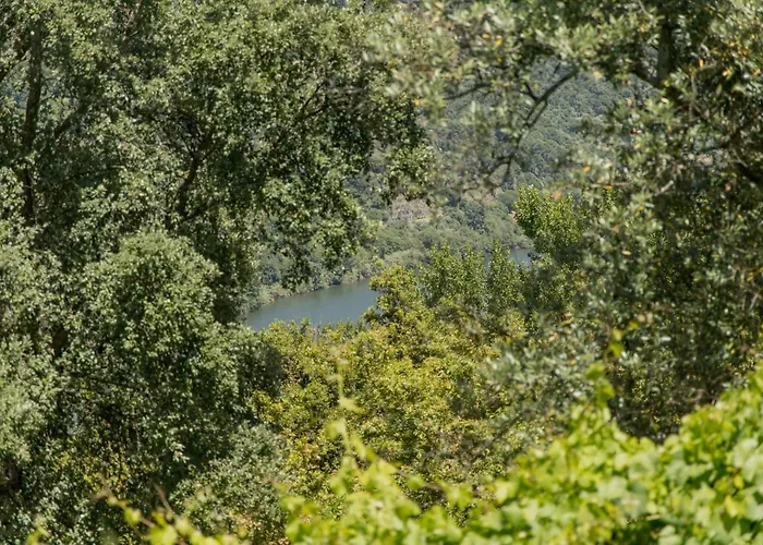 Quinta Dos Monteiros - 3 Quartos Com Piscina *